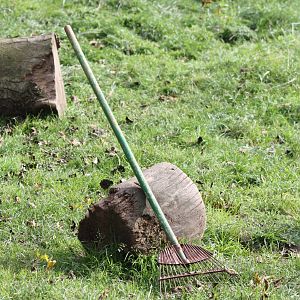The rake rests while the first barrow full is dumped, 12th September 2014