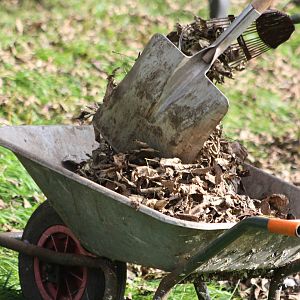 Starting another load, 12th September 2014
