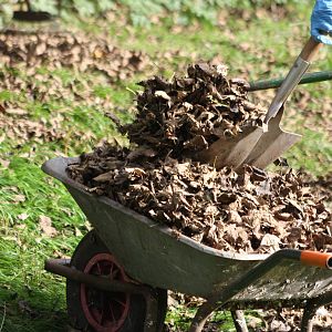 Room for some more, 12th September 2014