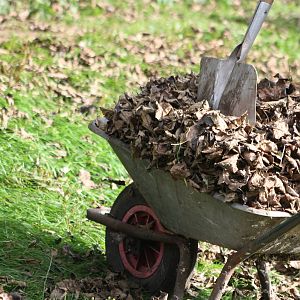 Squash them down, 12th September 2014