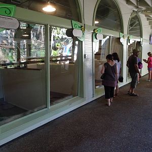 General View of Jamba Junction at Busch Gardens Tampa