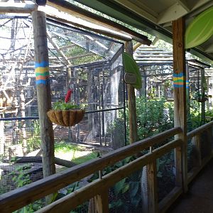 General View of Jamba Junction at Busch Gardens Tampa