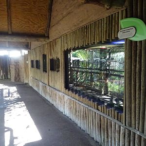 General View of Jambo Junction at Busch Gardens Tampa