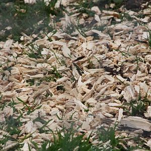 The result, 1st September 2014