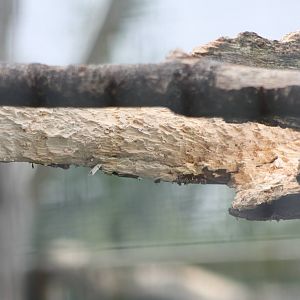 The source, 1st September 2014