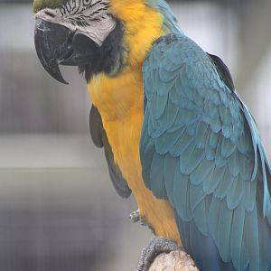 The culprit? 1st September 2014