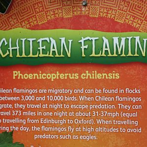 Signage, 1st September 2014