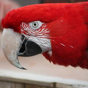 Winston, 1st September 2014