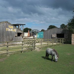 Looking across the historic centre of the zoo, 1st September 2014