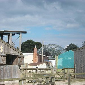 A closer look across the historic centre of the zoo, 1st September 2014