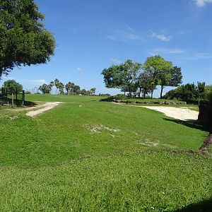 General View of Serengeti Plain at Busch Gardens Tampa