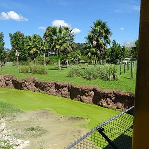 General View of Serengeti Plain at Busch Gardens Tampa