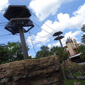 Bornean Orangutan Exhibit at Busch Gardens Tampa