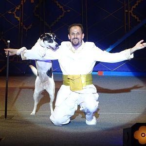 Opening Night Critters at Busch Gardens Tampa