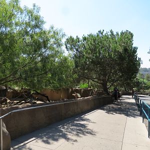 Northern Frontier - Cuviers Gazelle Exhibit