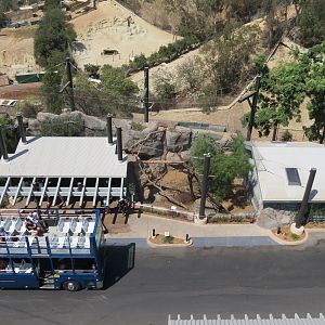 Northern Frontier - Mountain Lion Exhibit