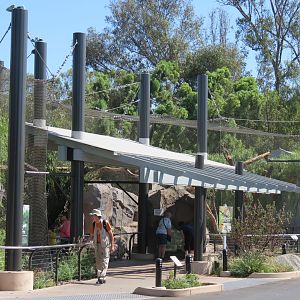 Northern Frontier - Mountain Lion Exhibit