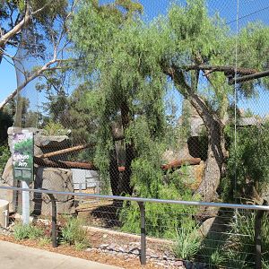 Northern Frontier - Mountain Lion Exhibit