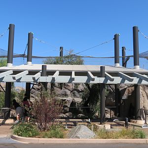 Northern Frontier - Mountain Lion Exhibit