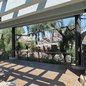 Northern Frontier - Mountain Lion Exhibit