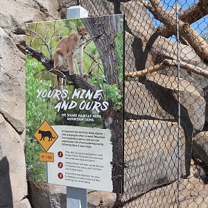 Northern Frontier - Mountain Lion Exhibit