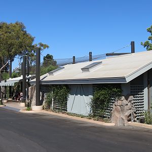 Northern Frontier - Mountain Lion Exhibit