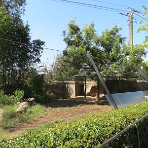 Northern Frontier - Maned Wolf Exhibit
