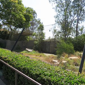 Northern Frontier - Maned Wolf Exhibit