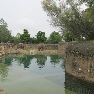 African Elephant Exhibit