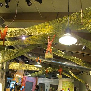 Orangutan Center Interior