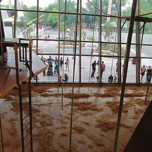 Orangutan Center Interior