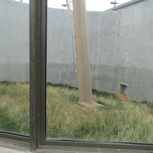 Orangutan Center 1st Outdoors