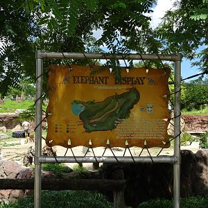 Layout of the Elephant Exhibit at Busch Gardens Tampa