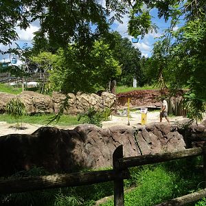Elephant Exhibit at Busch Gardens Tampa