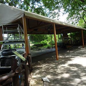 Hyena Exhibit Viewing Area at Busch Gardens Tampa