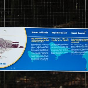 Signage Example at Pairi Daiza, 31/08/14