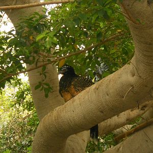 Can anyone identify?