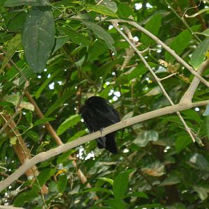 Can anyone identify?