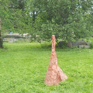 Simulated termite mound in kangaroo exhibit.