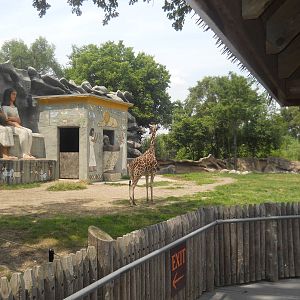 Giraffe in a very old, but spacious exhibit