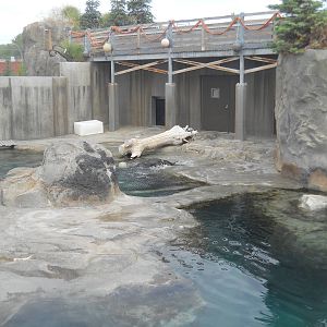 California sea lion and harbor seal pool