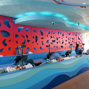 Explorers Reef - Sea World Store