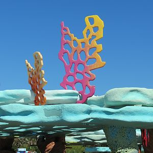 Explorers Reef - Cleaner Fish Touchtank