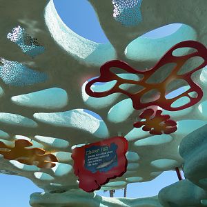 Explorers Reef - Cleaner Fish Touchtank