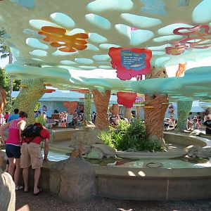 Explorers Reef - Cleaner Fish Touchtank