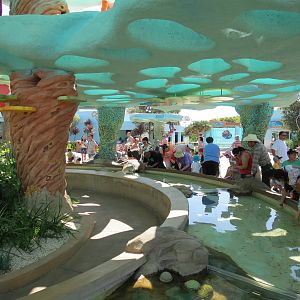 Explorers Reef - Cleaner Fish Touchtank
