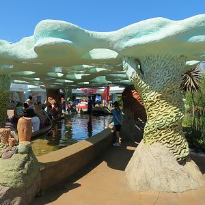 Explorers Reef - White-spotted Bamboo Shark Touchtank