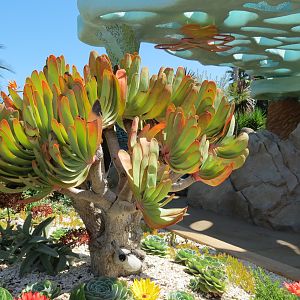 Explorers Reef - Landscape