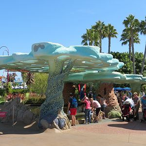 Explorers Reef - White-spotted Bamboo Shark Touchtank