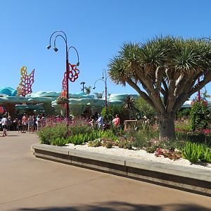 Explorers Reef - Area View